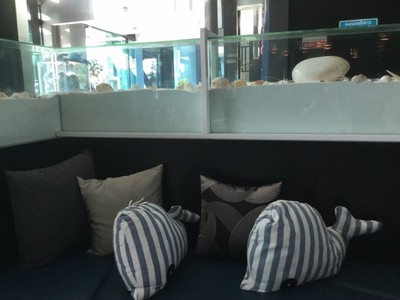 บริเวณโดยรอบ