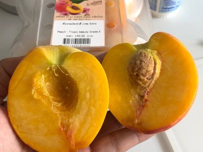 วิธีทำ พีชโยเกิร์ตสมูทตี้ 🍑 วิธีทำ พีชโยเกิร์ตสมูทตี้ 🍑