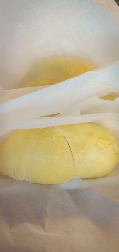 ทุเรียนหมอนทอง