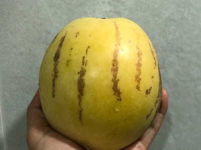 วิธีทำ เปปิโนนมเปรี้ยวสมูทตี้ 🍈