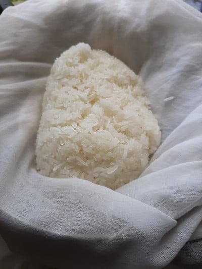 หุ้งข้าวเหนียวด้วยผ้าขาวบาง