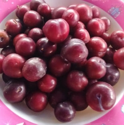 ลูกไหมสด