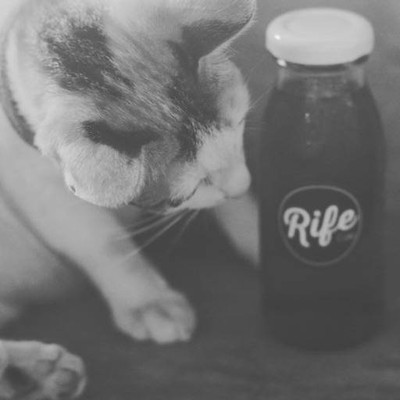 Rife Cafe (Rife Cafe) Rife Cafe (Rife Cafe)