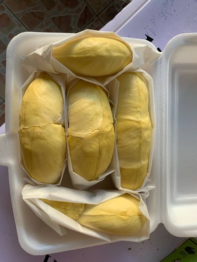 ทุเรียนหมอนทอง