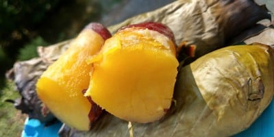 วิธีทำ มันหวานพันใบตองอบ วิธีทำ มันหวานพันใบตองอบ