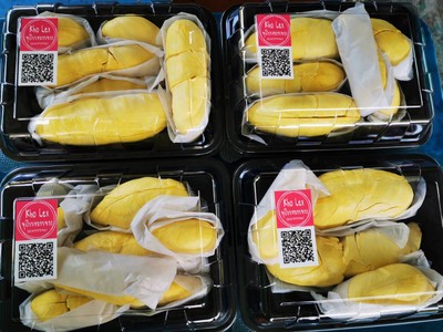 ทุเรียนหมอนทอง ปลอดสาร เกรดพรีเมี่ยม 
❤️เนื้อล้วนๆๆ 790บ./กก. (นน. ไม่รวมเปลือก