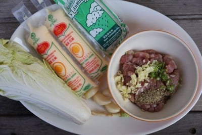 วิธีทำ แกงจืด เต้าหู้หมูสับ วิธีทำ แกงจืด เต้าหู้หมูสับ