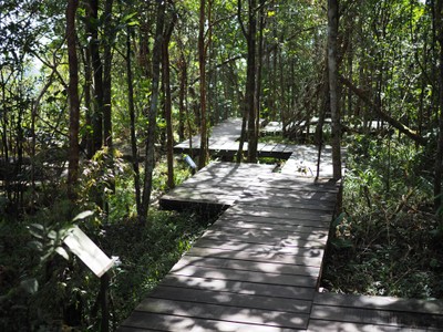 ผาเดียวดาย