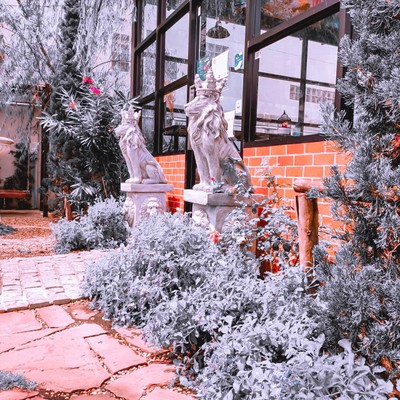 Café Amazon สาขาในเมืองพิมาย