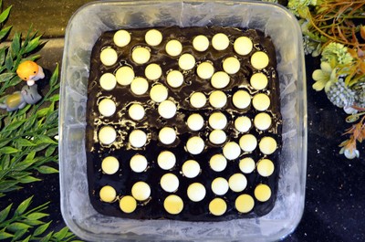 วิธีทำ Fudgy Brownie