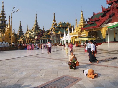 เด็กน้อยกำลังก้มกราบ น่ารักมากมาย