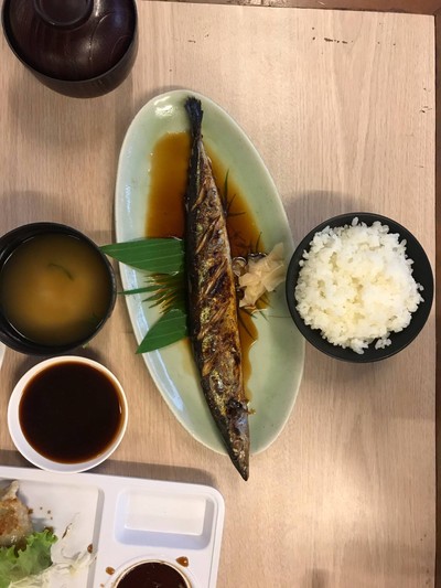 hajima fish set