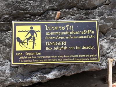 วันพักผ่อนที่เกาะสมุย