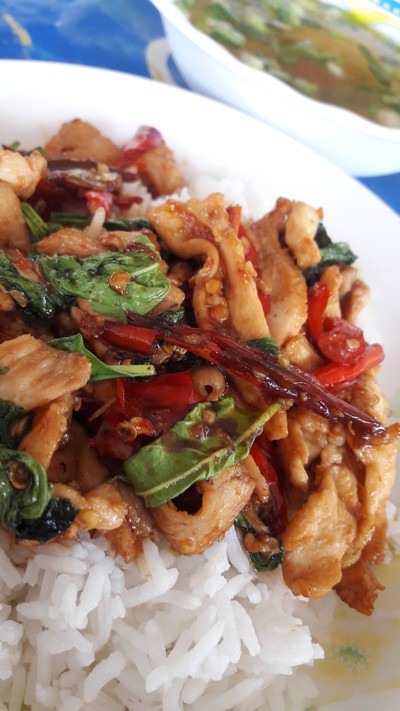 กระเพราไก่