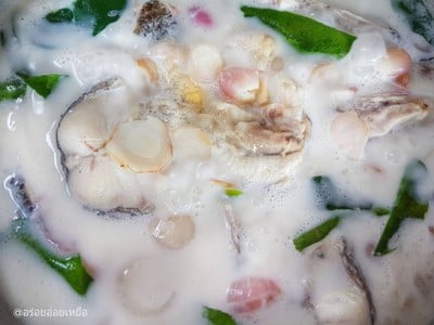 วิธีทำ ต้มข่าปลาช่อน วิธีทำ ต้มข่าปลาช่อน