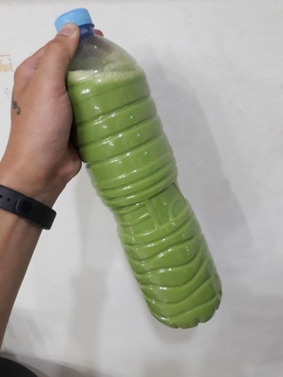 วิธีทำ ชาเขียว วิธีทำ ชาเขียว