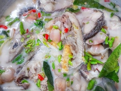 วิธีทำ ต้มข่าปลาช่อน วิธีทำ ต้มข่าปลาช่อน