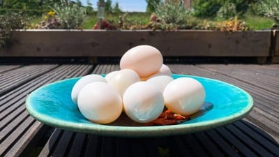 ดองไข่เค็มแบบง่ายๆ Salted duck eggs ดองไข่เค็มแบบง่ายๆ Salted duck eggs