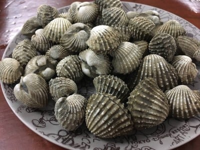 ร้านอาหารลมทะเล (ราคาหน้าร้าน)