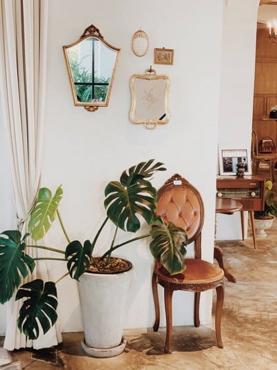 Grazia Gelato and Coffee