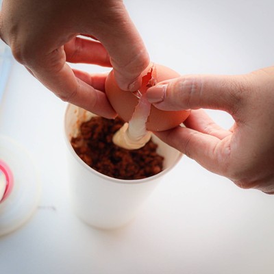 ไข่ออนเซ็นไต้หวัน