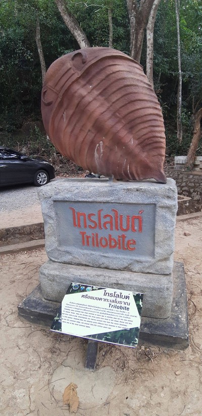 ชมฟอสซิลที่อุทยานธรณีสตูล