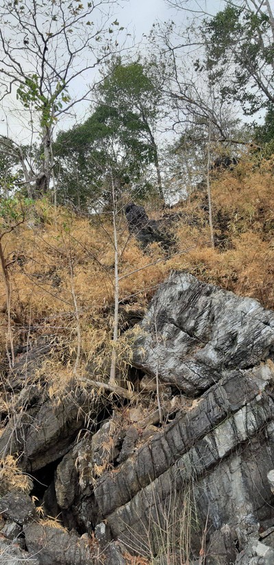 ชมฟอสซิลที่อุทยานธรณีสตูล