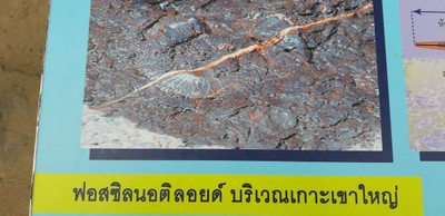 ชมฟอสซิลที่อุทยานธรณีสตูล