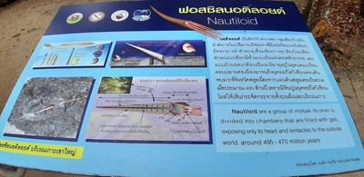 ชมฟอสซิลที่อุทยานธรณีสตูล