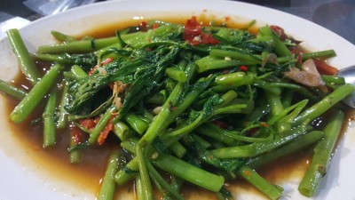 ผักบุ้งไฟแดง