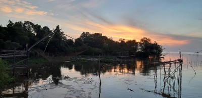 ชมยอยักษ์บนผืนน้ำทะเลน้อยพัทลุง