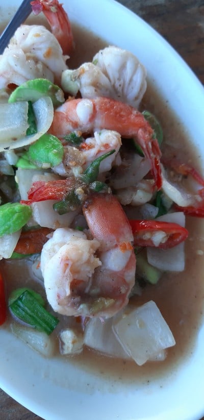 ชมยอยักษ์บนผืนน้ำทะเลน้อยพัทลุง