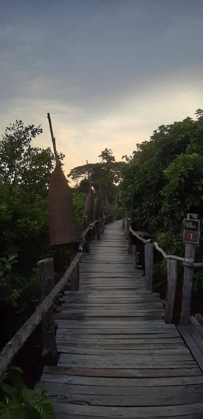 ชมยอยักษ์บนผืนน้ำทะเลน้อยพัทลุง