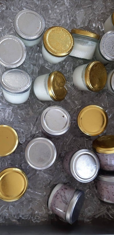 ชมยอยักษ์บนผืนน้ำทะเลน้อยพัทลุง