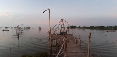 ชมยอยักษ์บนผืนน้ำทะเลน้อยพัทลุง