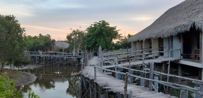 ชมยอยักษ์บนผืนน้ำทะเลน้อยพัทลุง