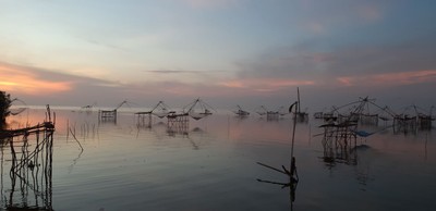 ชมยอยักษ์บนผืนน้ำทะเลน้อยพัทลุง