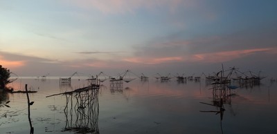 ชมยอยักษ์บนผืนน้ำทะเลน้อยพัทลุง