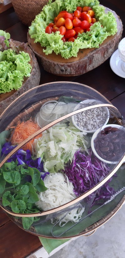 ชมยอยักษ์บนผืนน้ำทะเลน้อยพัทลุง