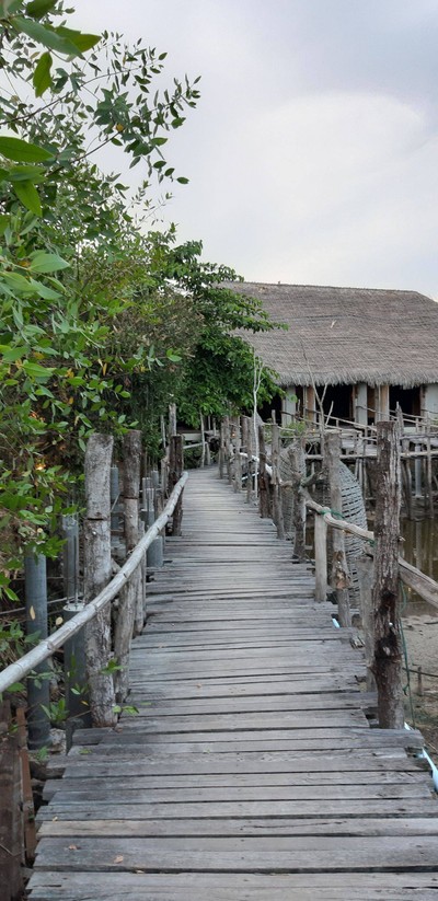 ชมยอยักษ์บนผืนน้ำทะเลน้อยพัทลุง