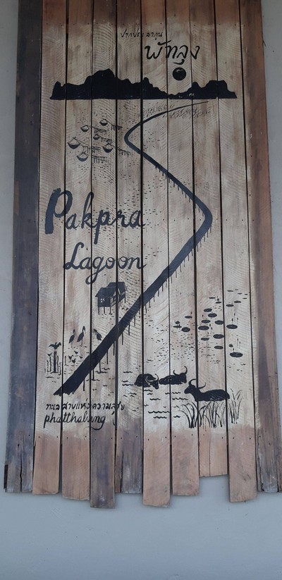 ชมยอยักษ์บนผืนน้ำทะเลน้อยพัทลุง