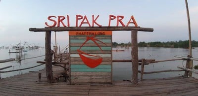 ชมยอยักษ์บนผืนน้ำทะเลน้อยพัทลุง