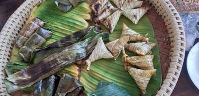 ชมยอยักษ์บนผืนน้ำทะเลน้อยพัทลุง