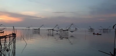 ชมยอยักษ์บนผืนน้ำทะเลน้อยพัทลุง