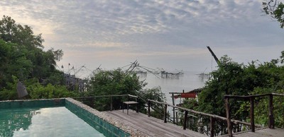 ชมยอยักษ์บนผืนน้ำทะเลน้อยพัทลุง