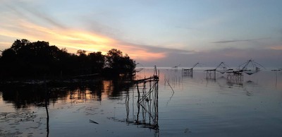 ชมยอยักษ์บนผืนน้ำทะเลน้อยพัทลุง