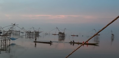 ชมยอยักษ์บนผืนน้ำทะเลน้อยพัทลุง