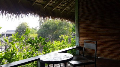 ชมยอยักษ์บนผืนน้ำทะเลน้อยพัทลุง