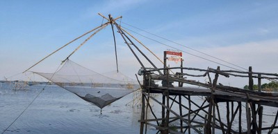 ชมยอยักษ์บนผืนน้ำทะเลน้อยพัทลุง