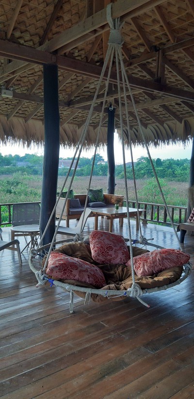 ชมยอยักษ์บนผืนน้ำทะเลน้อยพัทลุง